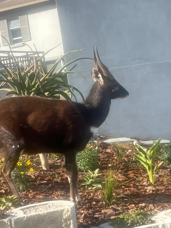 4 Bedroom Property for Sale in Pinnacle Point Golf Estate Western Cape